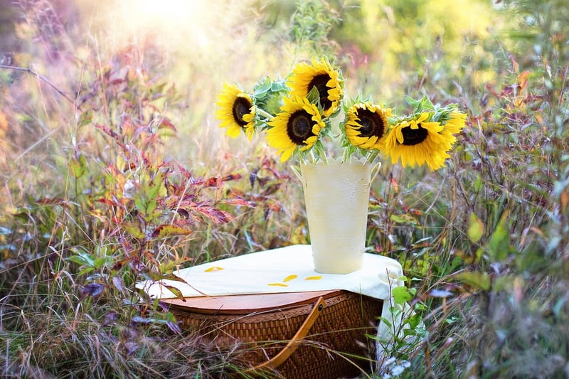 Repainted Vases